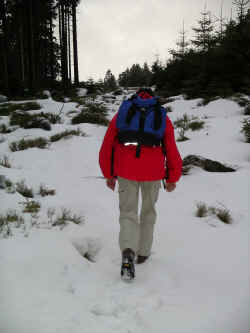 2005_01_05_08.JPG (184443 Byte)